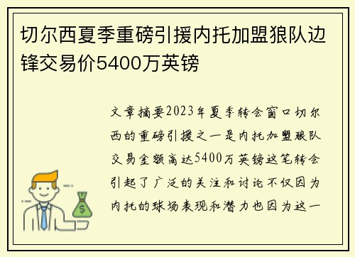 切尔西夏季重磅引援内托加盟狼队边锋交易价5400万英镑